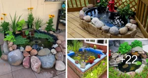 Ideas de Acuarios al Aire Libre para el Patio o el Jardín