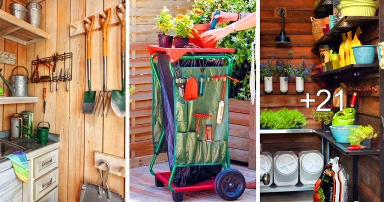 Lee más sobre el artículo Ideas para Mantener Ordenada tus Herramientas de Jardinería