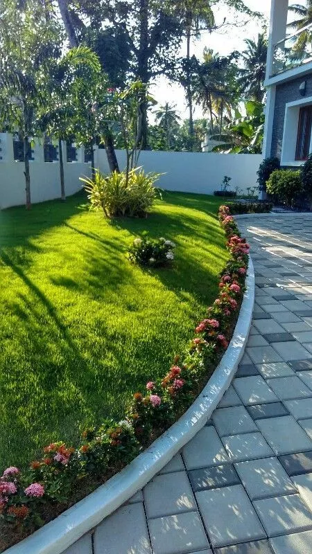 13 ideas para decorar tu patio con arbustos