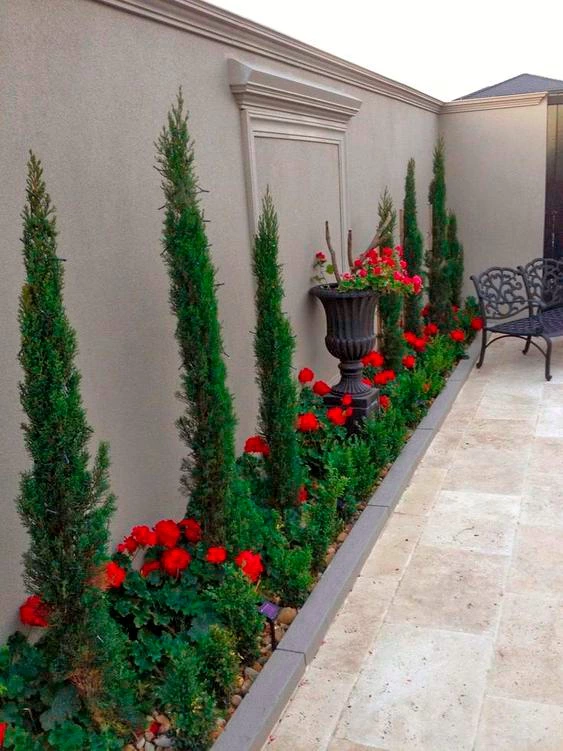13 ideas para decorar tu patio con arbustos
