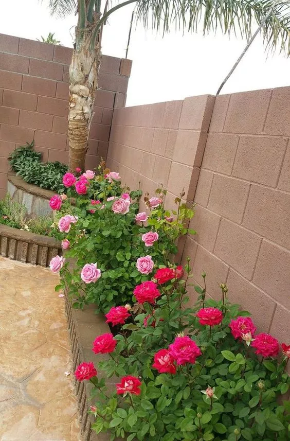 13 ideas para decorar tu patio con arbustos