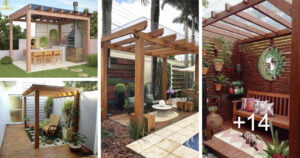 Lee más sobre el artículo Como embellecer tu patio con una pérgola