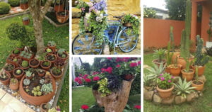 Ideas para embellecer tu jardín con macetas