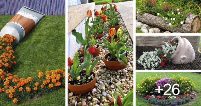 Read more about the article Muchas ideas de jardines florales para tu patio