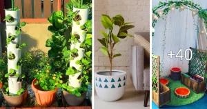 Ideas Creativas para Macetas