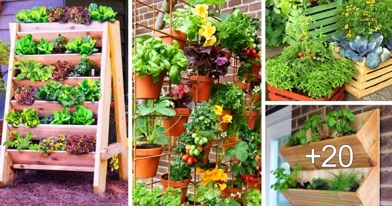 Lee más sobre el artículo Ideas Creativas para un Jardín de Vegetales