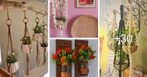 Ideas de Macetas Colgantes
