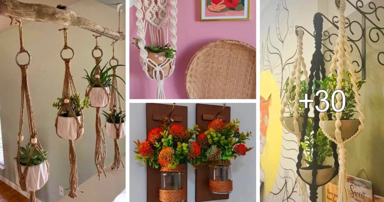 Read more about the article Ideas de Macetas Colgantes