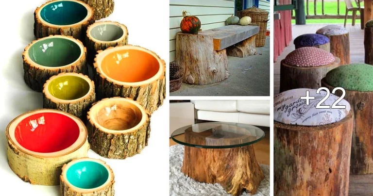 Read more about the article Ideas para Usar Troncos de Árboles en Casa