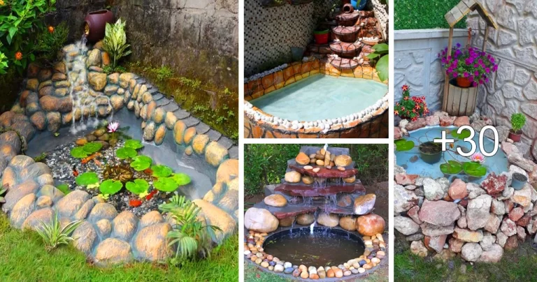 Read more about the article Estanques y Fuentes para el Jardín