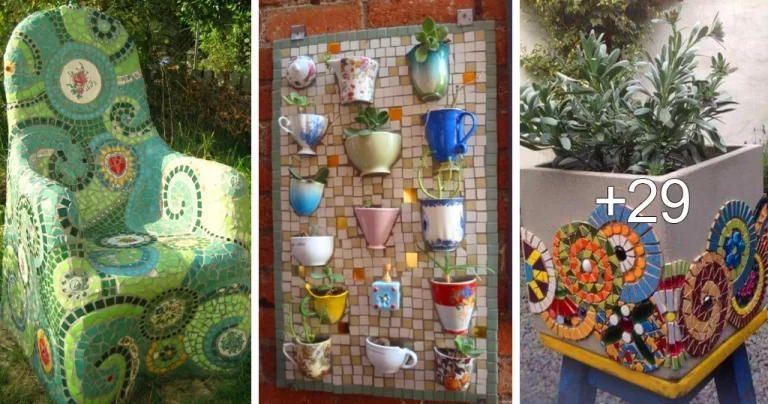 Lee más sobre el artículo Ideas de Mosaicos para Embellecer su Hogar y Jardín