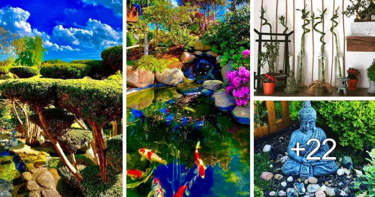 Read more about the article Ideas para un Jardín Zen