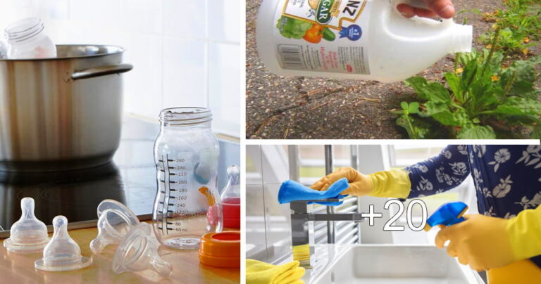 Read more about the article Ideas para el Uso del Vinagre en tu Hogar