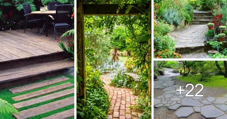 Lee más sobre el artículo Ideas de Caminos Elegantes para el Jardín