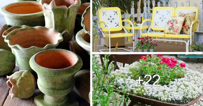 Lee más sobre el artículo Ideas de Jardín Vintage para una Apariencia Adorable