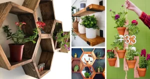 Ideas de Jardineras Montadas en la Pared