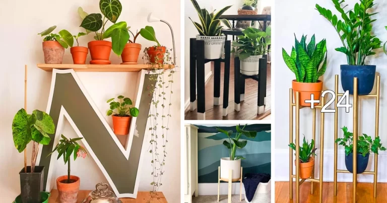 Lee más sobre el artículo Ideas de Soportes para Exhibir con Orgullo tus Plantas