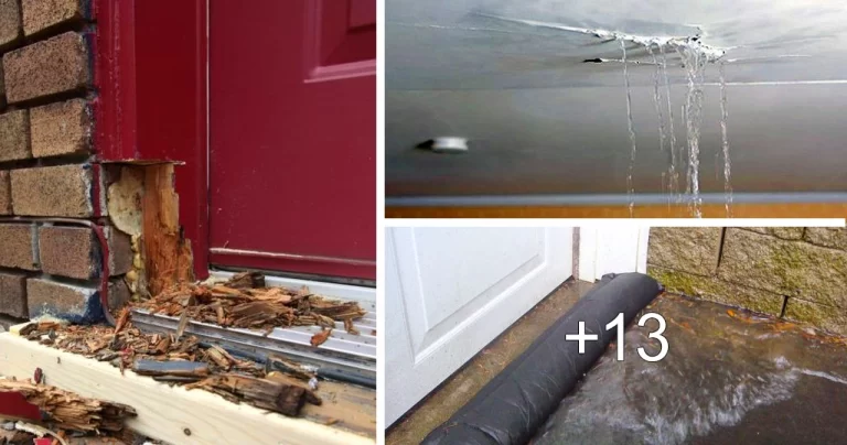 Lee más sobre el artículo Prevención de Daños por Agua para tu Casa