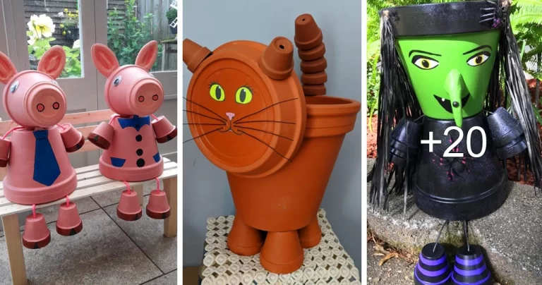 Lee más sobre el artículo Ideas con Macetas de Arcilla para Decorar el Jardín
