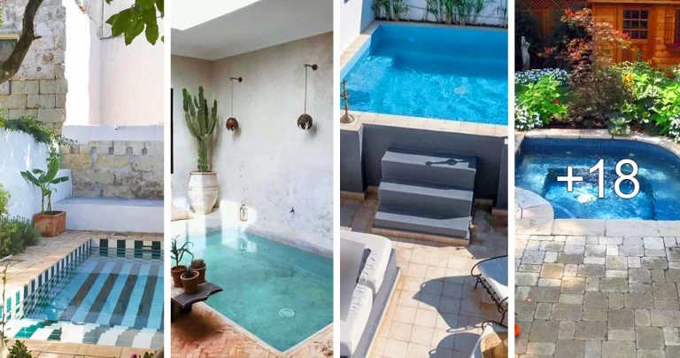 Read more about the article Ideas de Piscinas de Inmersión para Disfrutar del Verano